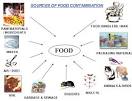 Healthy foods for a healthier nutrition