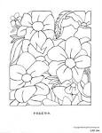 Flowers coloring page