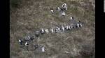 Germanwings flight co-pilot: Investigators take items from his.