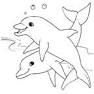 Dolphins coloring page