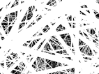 <b>Trema</b> Spike is a fractal