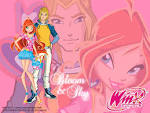 Couples from Winx Club dguhrbw