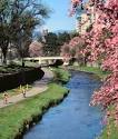 Cherry Creek