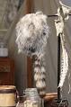 Coonskin cap - Wikipedia, the free encyclopedia