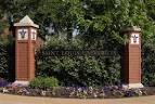 SAINT LOUIS UNIVERSITY Liver Center | SAINT LOUIS UNIVERSITY ...