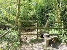 This stile at the northern edge of Silk Wood takes the Macmillan Way - via Daymix
