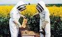 Growing Beginning Beekeeping Into A Profitable Business ...