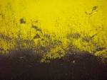 Black and yellow by ~drakhnar on deviantART