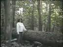 chu mei-feng sex tape wmv