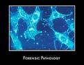 Forensic Pathology Information Guide