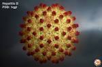Human <b>Hepatitis B</b> Viral Capsid