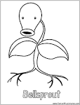 Bellsprout Coloring Page | pokemon
