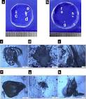 ScienceDirectcom   Materials Research Bulletin   A comparative