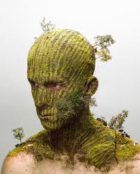 external image images?q=tbn:ANd9GcTbj0FnDcKv1MpPqqFzAj47uyd-U7Pso3Ue6Z9ZnqIBbl6CeyEUiQ