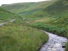 Afon Brefi below Craig Ifan, Ceredigion. The single track mountain road, - via Daymix