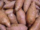 Sweet Potato - Tuberous Root