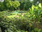 TQ3473 : African Garden - via Daymix