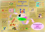 <b>RHEUMATOID</b> ARTHRITIS AND