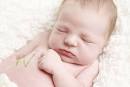 Little Mister M {Kitchener Newborn Photographer} | Wendy O'Rourke