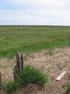 TA3901 : Wetland Near - via Daymix
