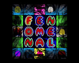 Fenomenal TV