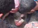 Boy pulled alive from quake rubble - WorldNews