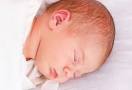 Aden & Anais Organic Cotton