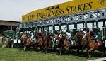 PREAKNESS Stakes - TurfnSport.com