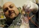 John Addis, proprietor of Fish