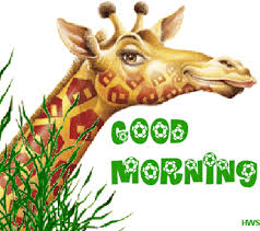 images?q=tbn:ANd9GcTd_Kis6aLVYnyon9gXTotQU-p_JPrCUbVlh0VIJHH2q3L4me16