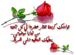 انيقات