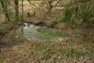 This spring-pool is known as Hampston's Well. - via Daymix