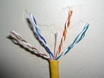 File CAT6 twisted pairJPG   Wikipedia the free encyclopedia