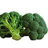 http://t3.gstatic.com/images?q=tbn:ANd9GcTeMB6Zrju0DfyIgLjLzMf9oy9apu9t5jW7xnM6OfgtbEG4PAht2A