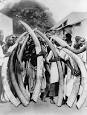 Ivory trade - Wikipedia, the free encyclopedia