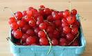 Red Currant, Pomegranate, and Kefir Lassi | Healthy Green Kitchen