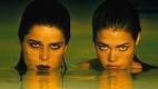 Wild Things - Have you seen Wild Things
