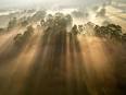 TRANSCENDENTALISM-Project - home