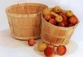 John Chapman, Johnny Appleseed