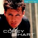 The Best of Corey Hart CD Cover Photo - cd-cover