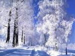 Fonds d��cran NEIGE - Page 3