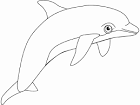 Dolphin coloring page