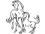 Equestrian coloring page