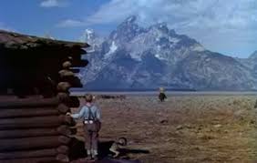 images?q=tbn:ANd9GcTgFHvTyIdC1mg159-Uu3d