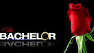 the-bachelor-show-abc.jpg