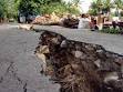 Bali News: Bali Shakes from 6.2 Earthquake