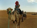 University of Al
abama News »  ...