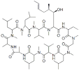 <b>Cyclosporine</b> (Neoral) Chemical