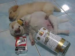 เมื่อคืนฝัน