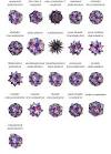 Tetrahedron 10-Compound -- from Wolfram MathWorld